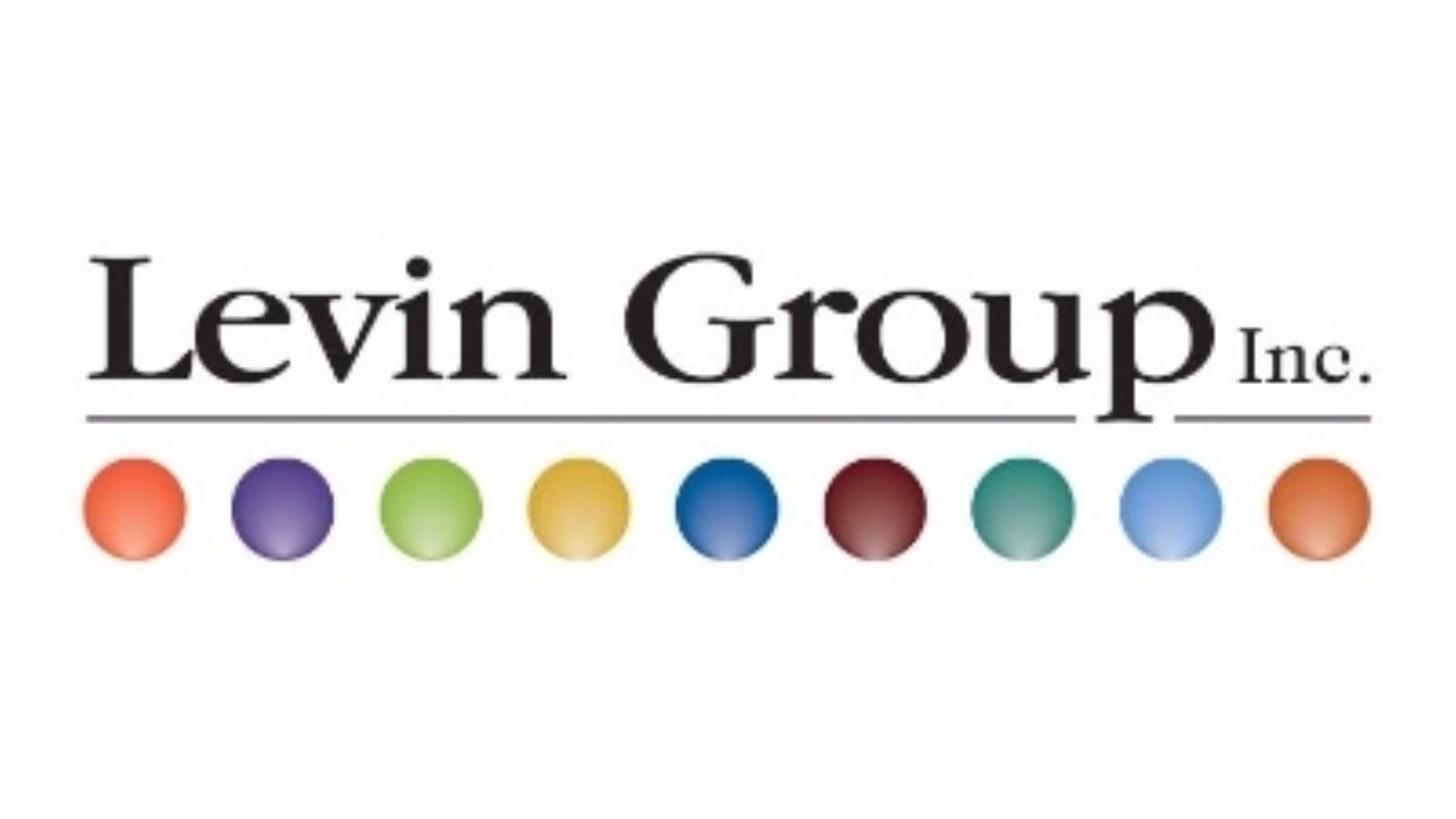 Levin Group Inc Logo