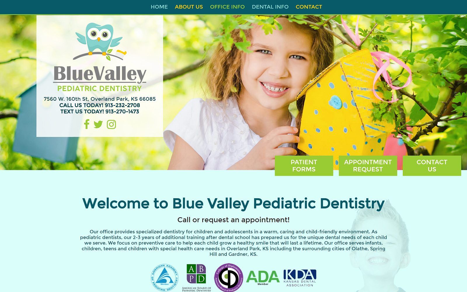 The Screenshot of Blue Valley Pediatric Dentistry bvkidsdentist.com Website