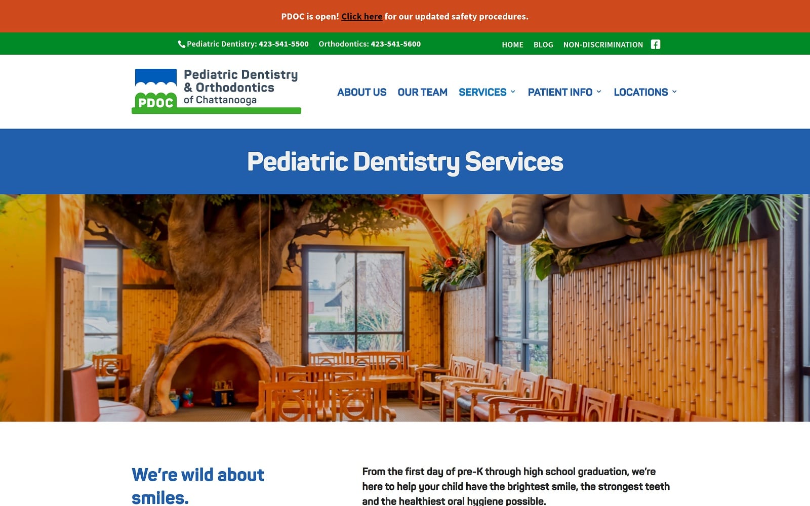 The screenshot of pediatric dentistry & orthodontics of chattanooga pdoc. Com website