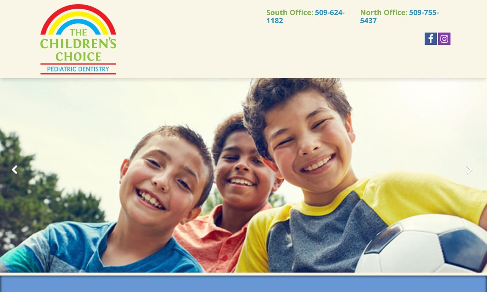 The Screenshot of The Children's Choice for Dentistry childrenschoicedental.com Website