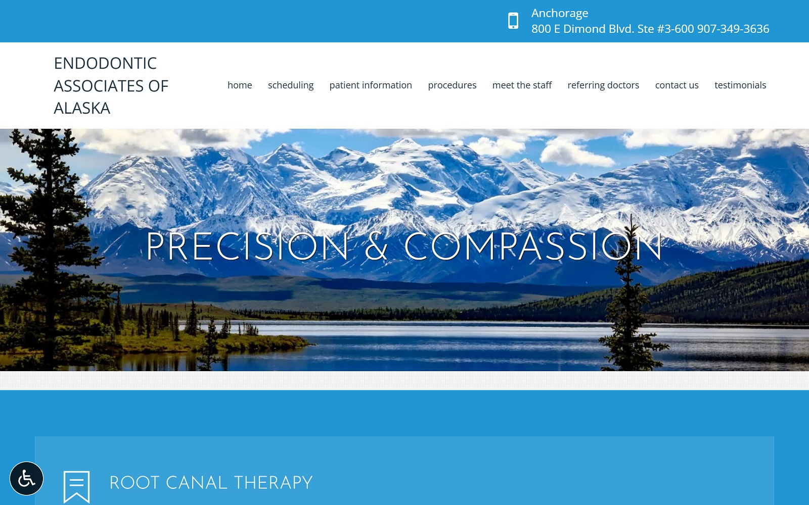 Endoalaska. Com screenshot