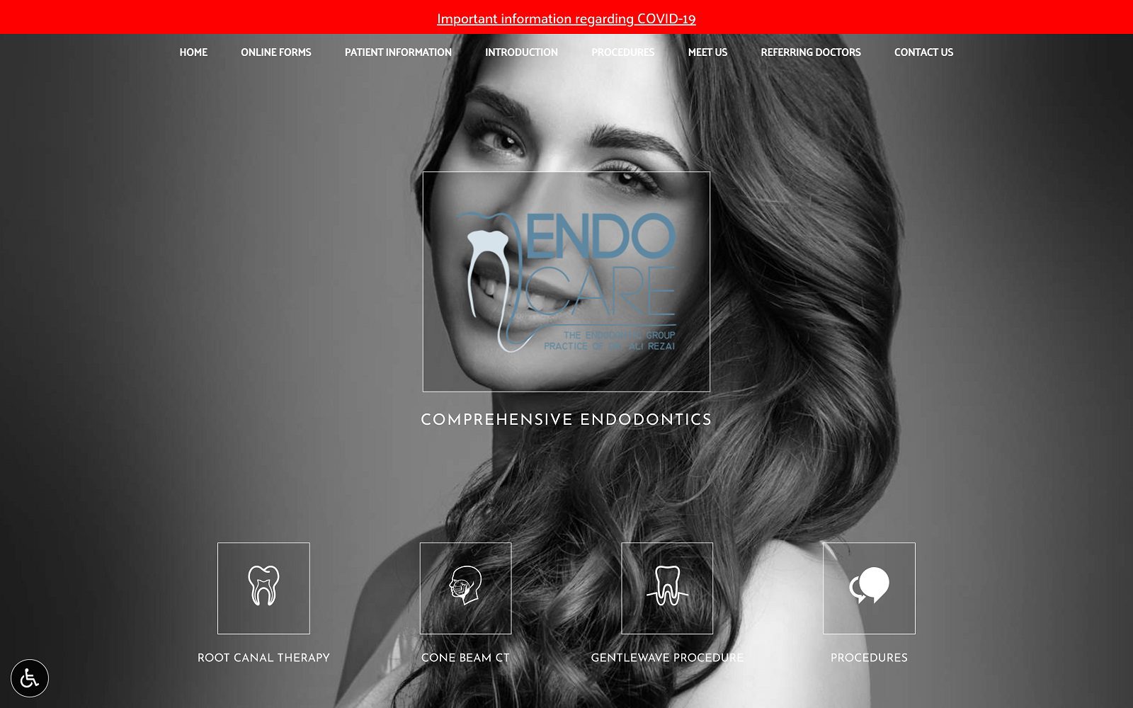 The Screenshot of Endocare SF Website