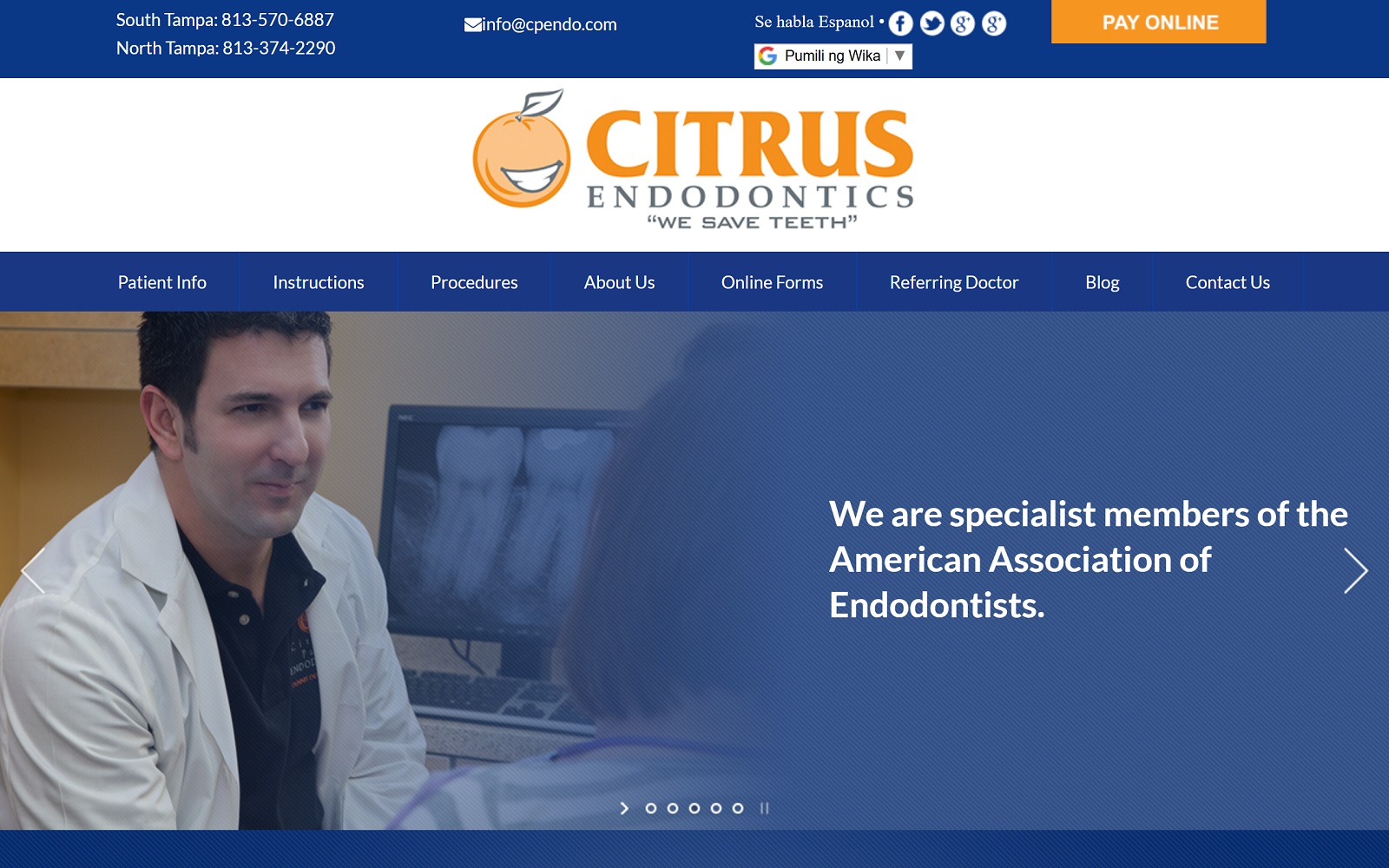 Endodontisttampa. Com screenshot