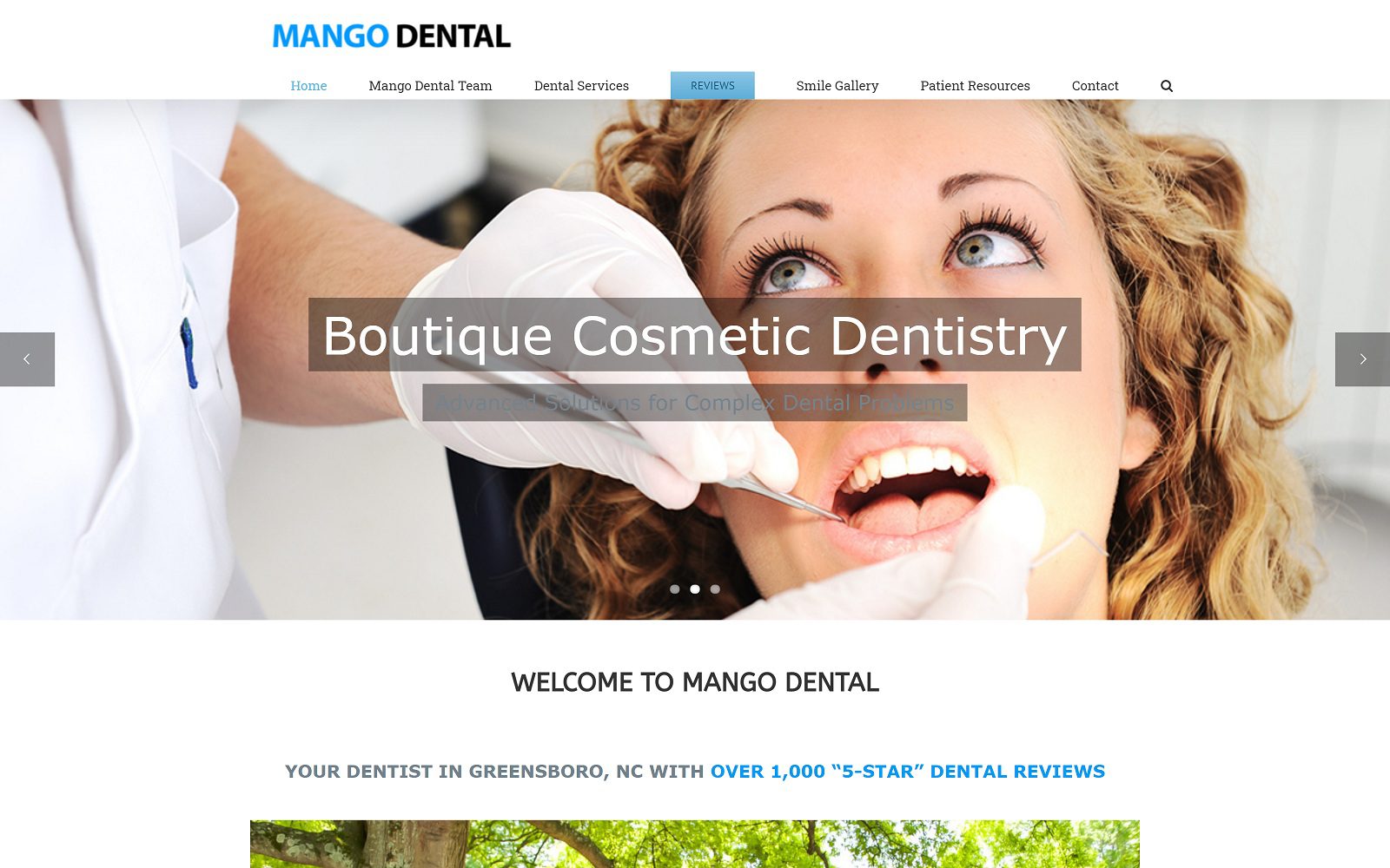 The screenshot of mango dental dr. Mike mango website