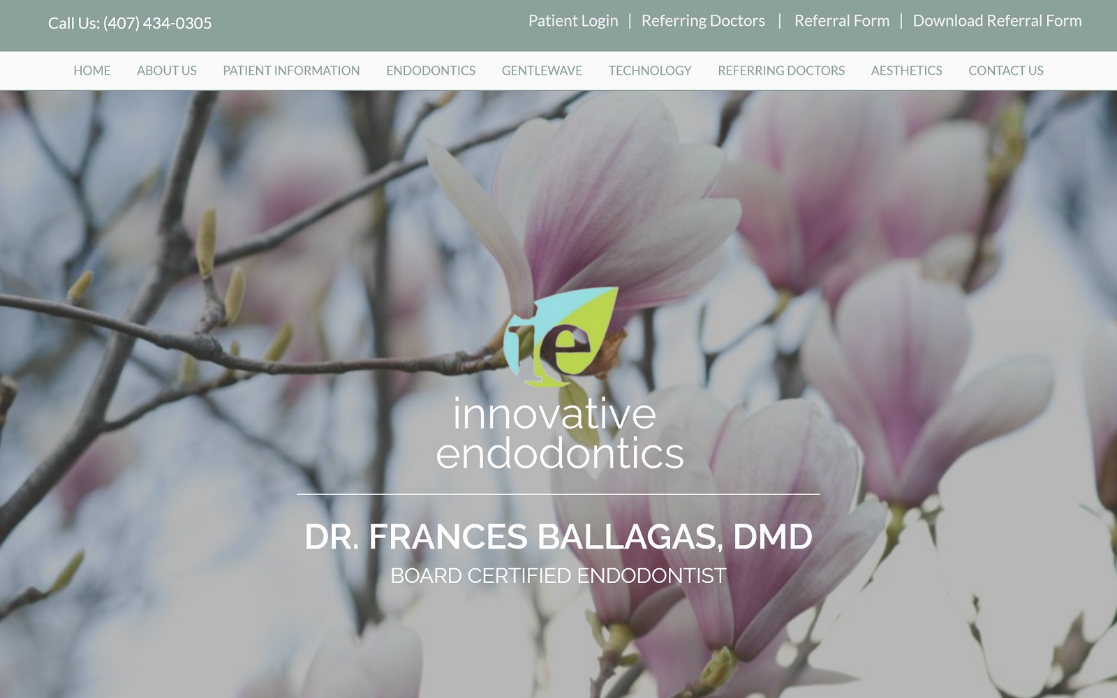 Innovative-endo. Com screenshot