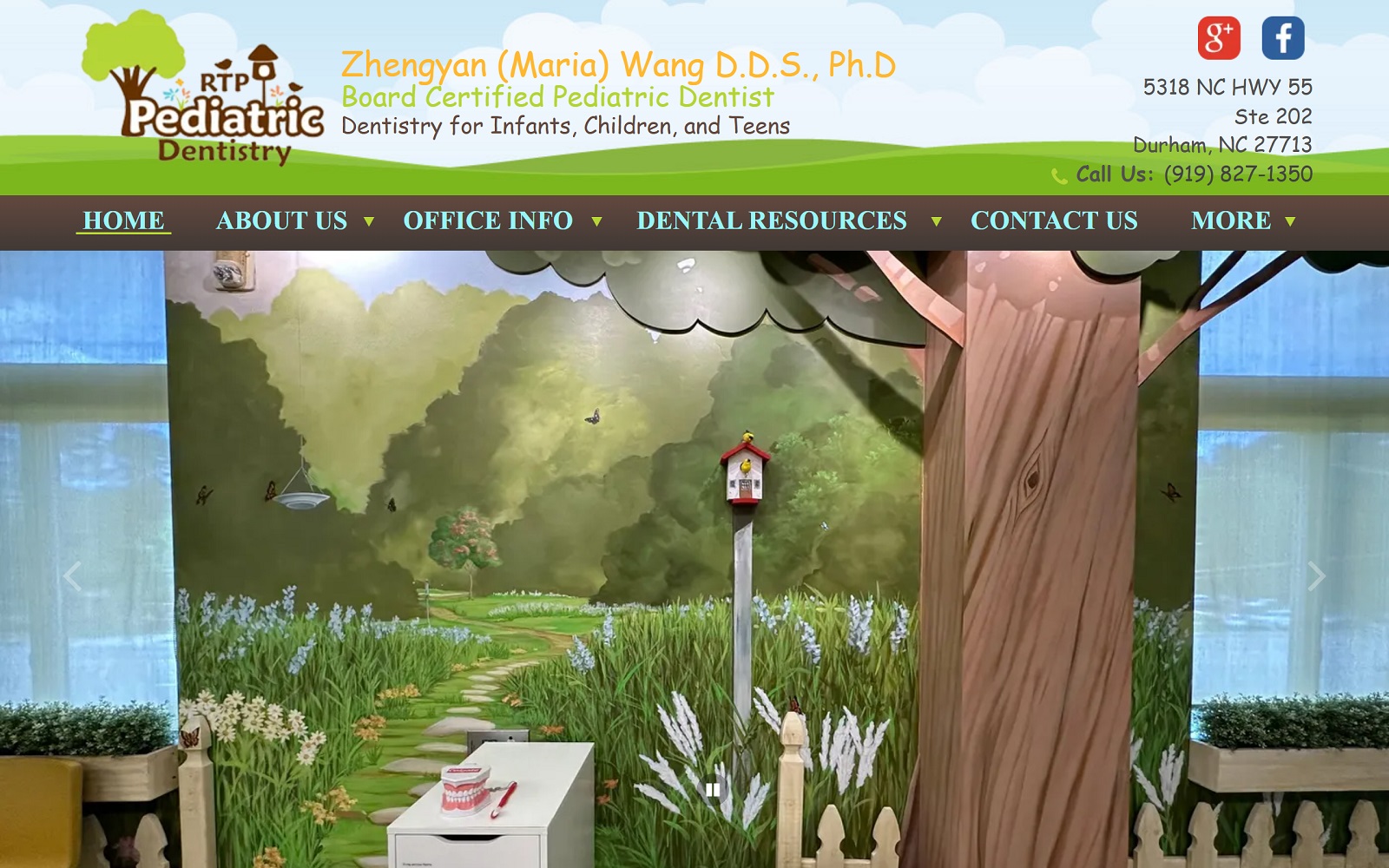 Rtppediatricdentistry. Com screenshot