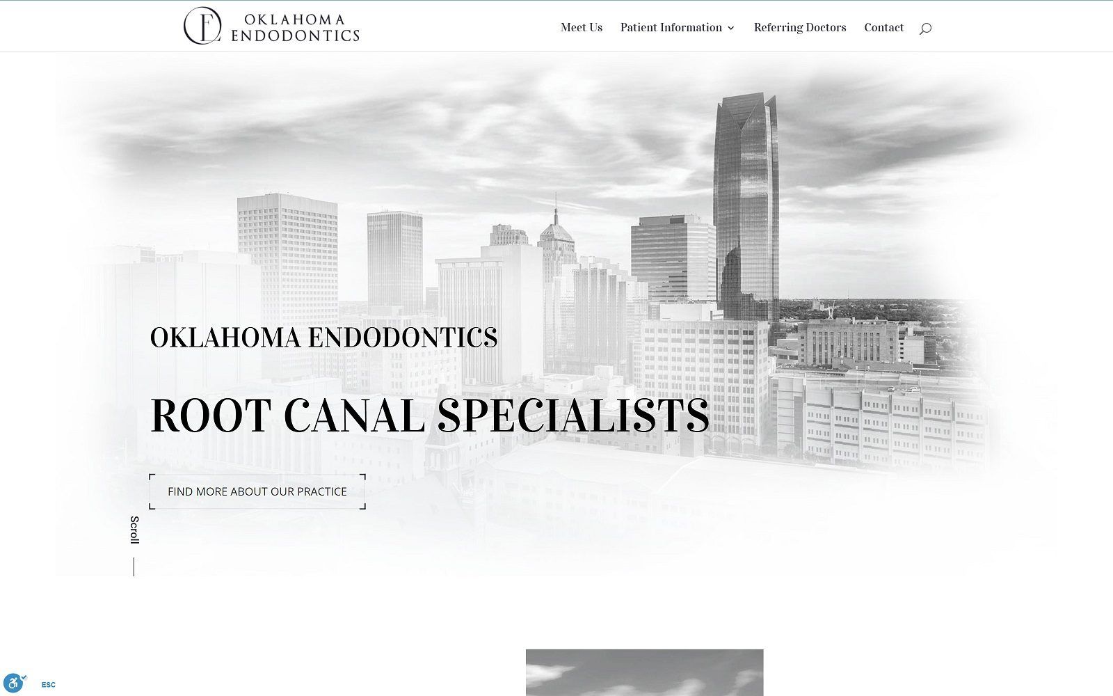 The Screenshot of Dr. Dennis A. Leseberg, DDS Website