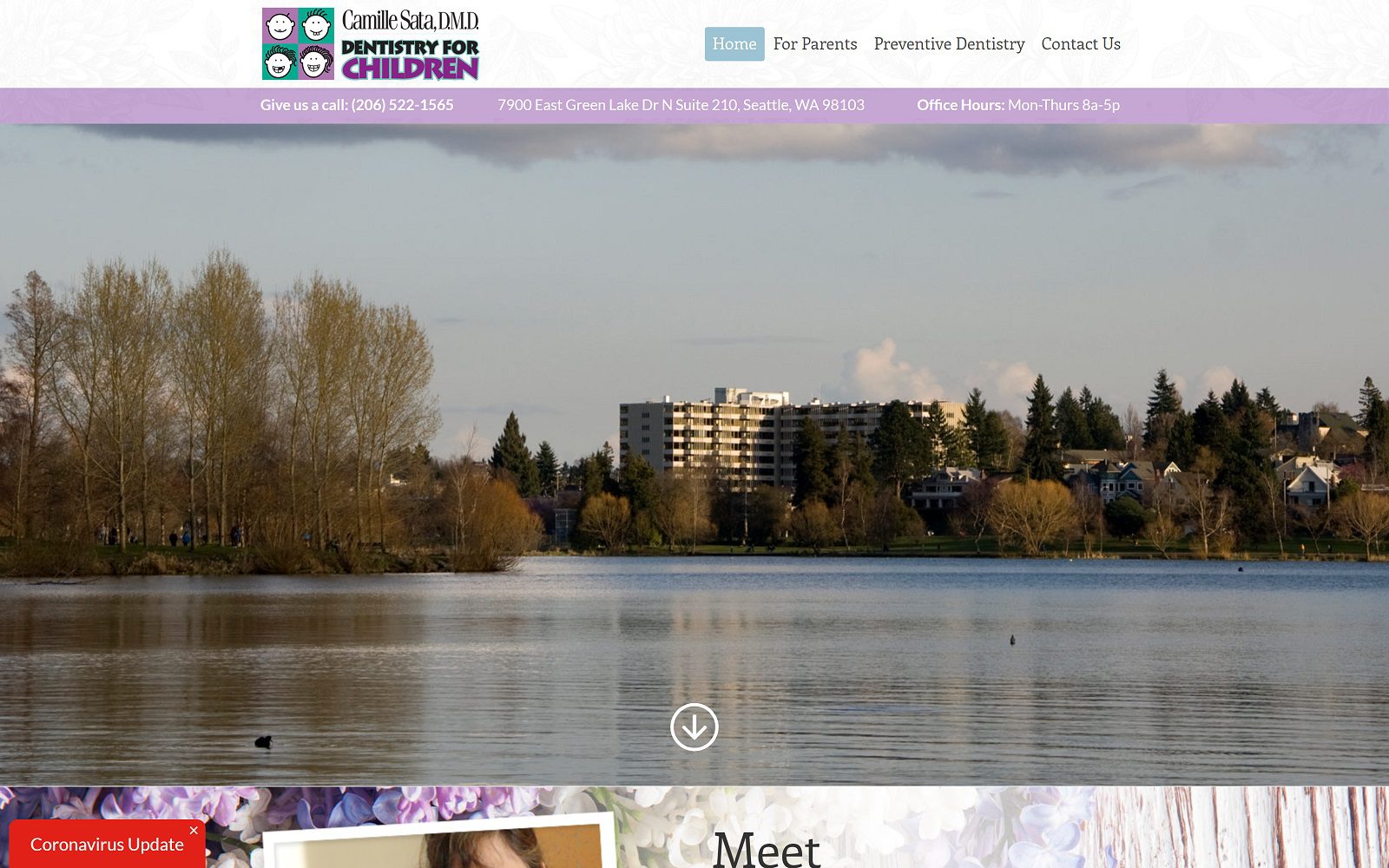 The Screenshot of Camille Sata, DMD - Dentistry for Children Website