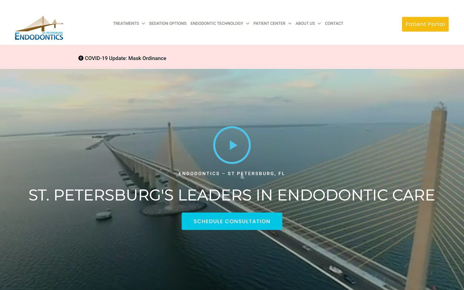 The Screenshot of St Petersburg Endodontics Website