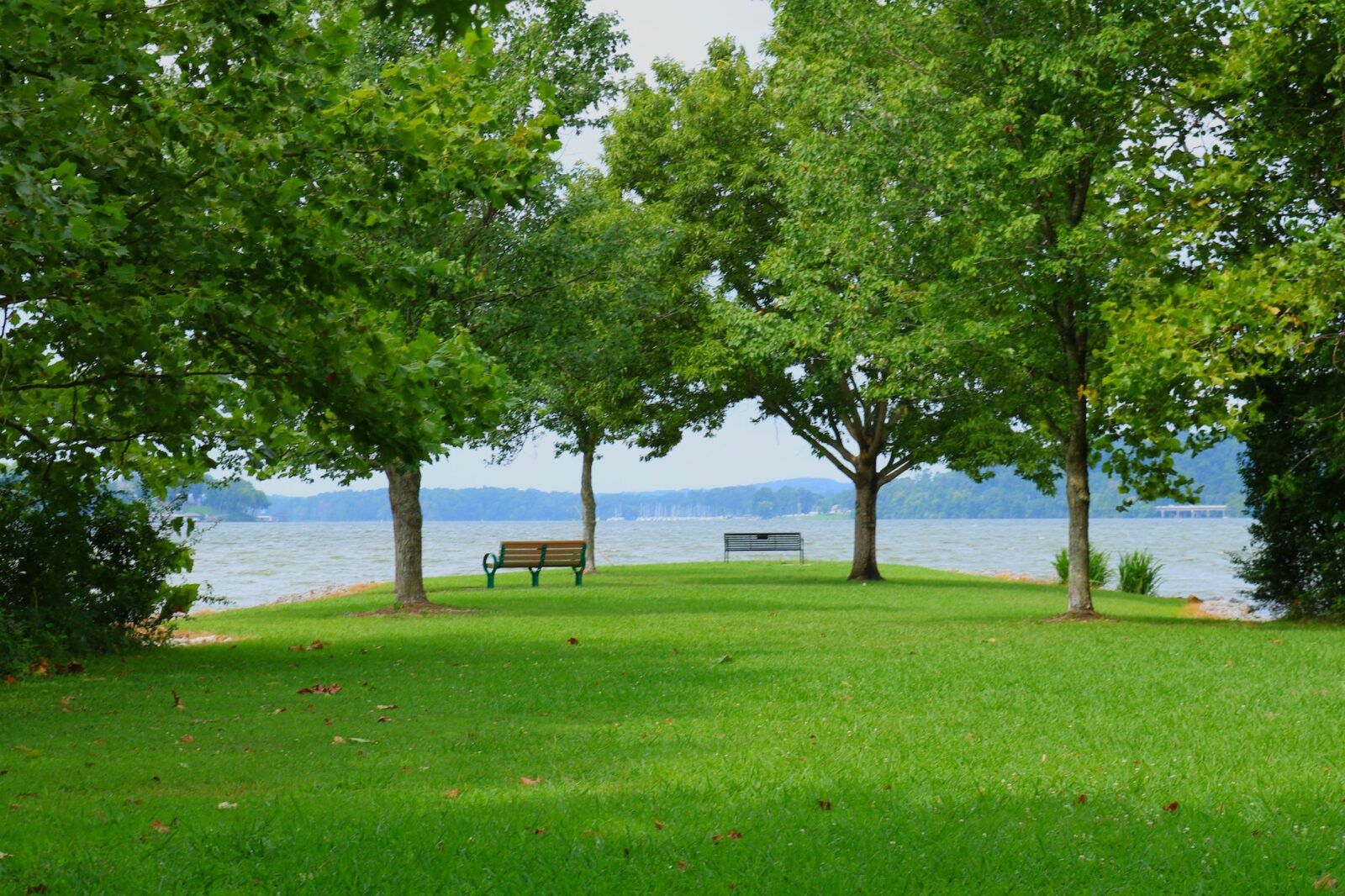 Scenic view of two benches under trees near an open body of water near Knoxville in Tennessee
